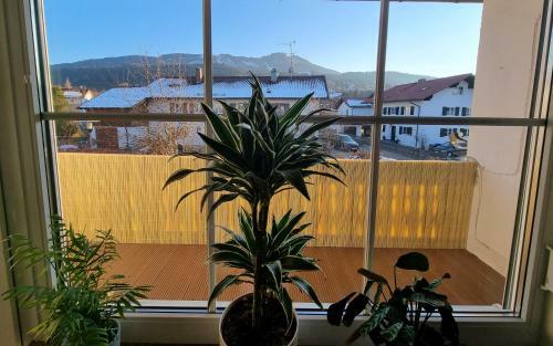 Apartamento Ferienwohnung Bergliebe