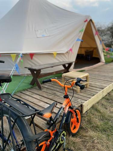 Wild Camping Lands