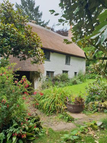 Bed & Breakfast Ford House