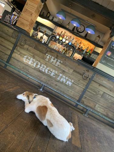 Bed & Breakfast The George Inn Middle Wallop