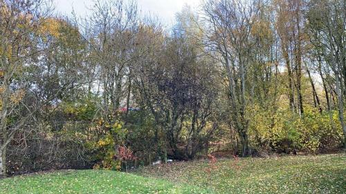 Rambells Lodge