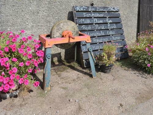 Dalch - Uk12538