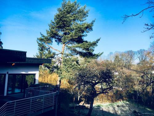 Apartamentos Ferienhaus Haagalm