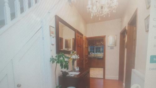 Comfy Room Well Located