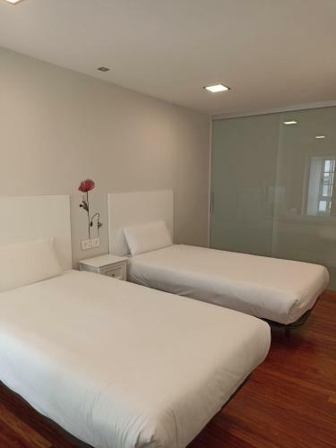 Apartamento Campanas Haus