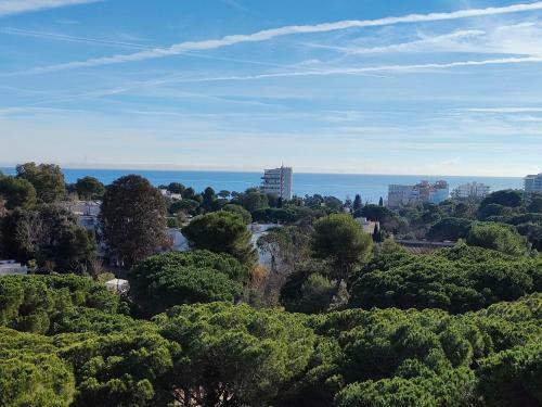 Beautiful Apartment In Platja Daro