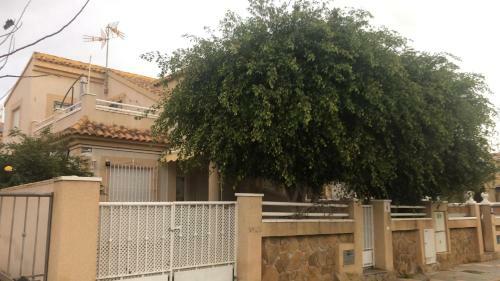 My Little House