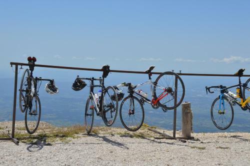 Bed & Breakfast Chalet Ventoux Serein - Chambres D'h�tes