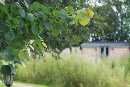Luxury Shepherds Hut - The Sweet Pea By The Lake