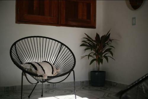 Apartamento Cozy And Beautiful Loft In Downtown Bacalar