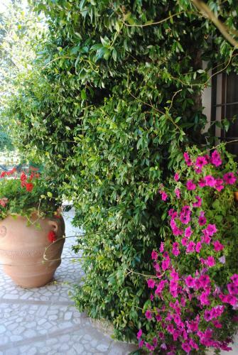 Villa Le Casaline