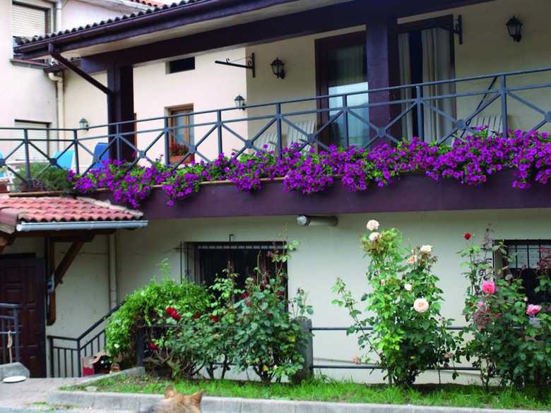 Hotel Posada Calera