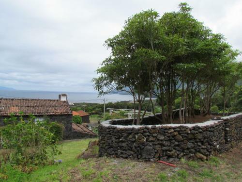 Hostal Casas De Campo Housesinpico