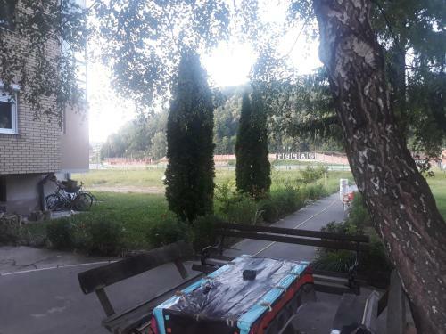 Apartment Dragica