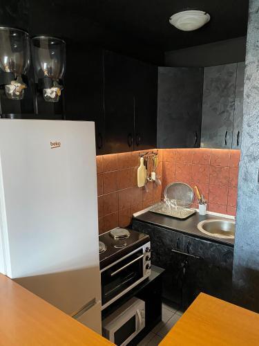 Apartment 313