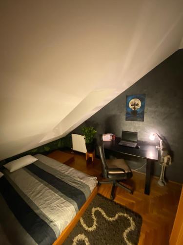 Apartment 313