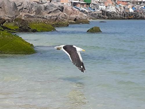 Apartamento Aluguel Temporada Mar E Piscina Arraial Do Cabo