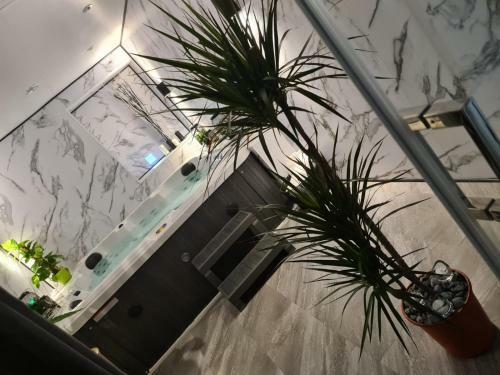 The Exclusive Jacuzzi Apartments