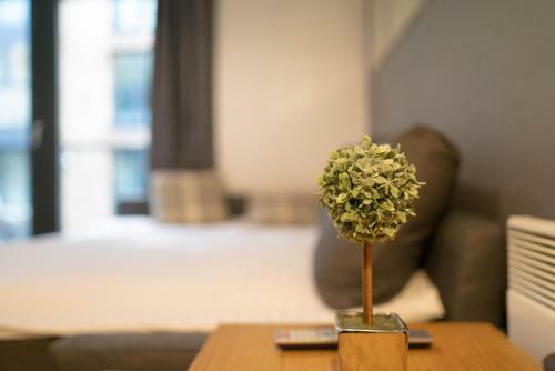 Arcadian Apartments