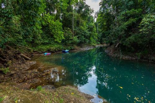 Drake Bay River View - Glamping Eco Lodge