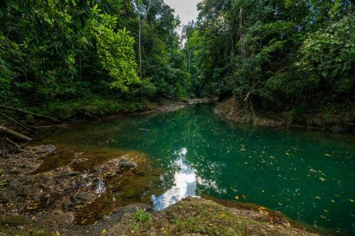 Drake Bay River View - Glamping Eco Lodge