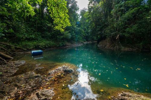 Drake Bay River View - Glamping Eco Lodge