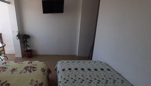 Albergue Tampulodge