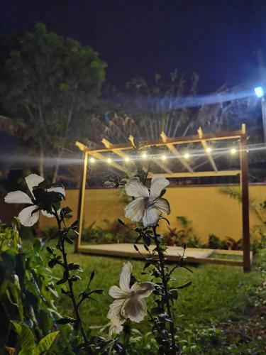 Bed & Breakfast Unique Rooms In An Authentic Part Of Kampala