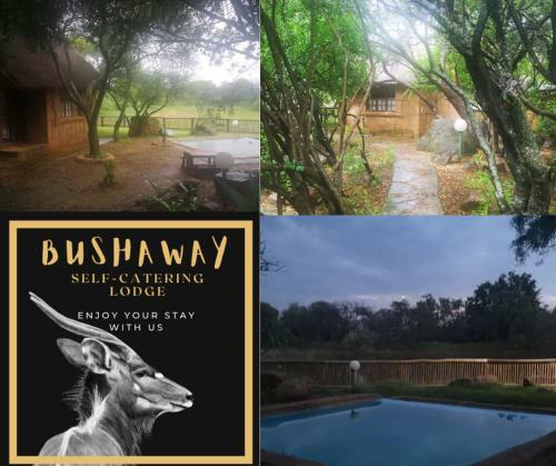 Bosveld Bruilof & Bushaway Lodge