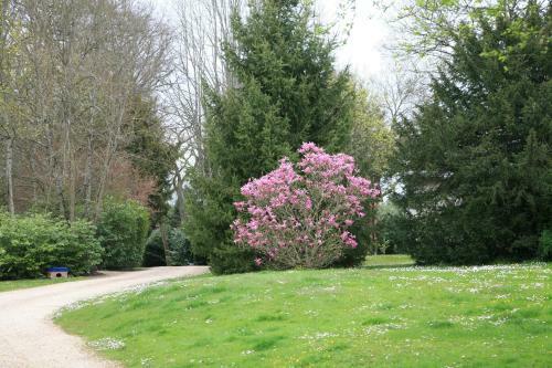 Bed & Breakfast Ch�teau Le Briou D'autry