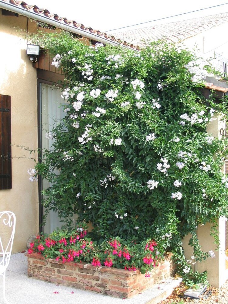 Bed & Breakfast Les Sureaux