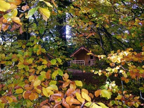 Bed & Breakfast Chambres D'h�tes La Gargaille