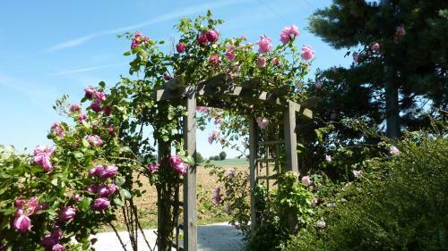 Bed & Breakfast Chambres D'h�tes La Treille