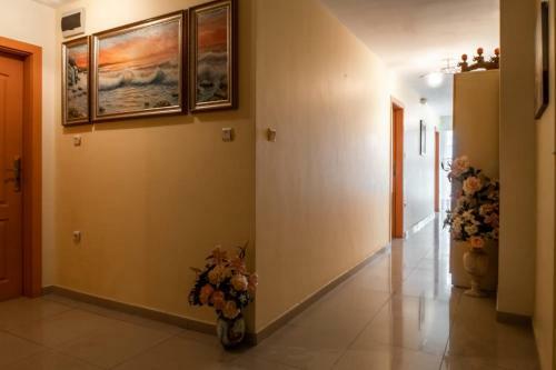 Hostal Boutique Guest House 'sofia'