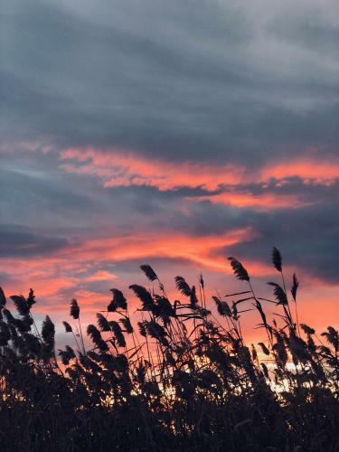 ?????? ? ???? - ???????