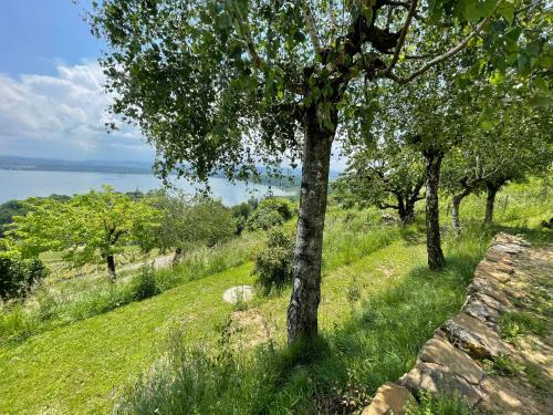 Villa Traumhaftes Ferienhaus Mit See- Und Alpenblick