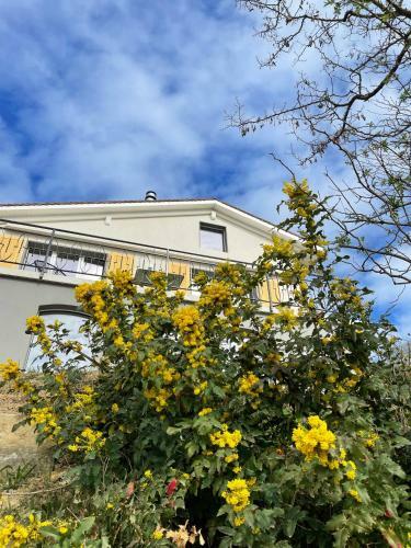 Villa Traumhaftes Ferienhaus Mit See- Und Alpenblick