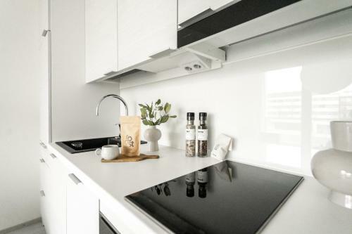 Apartamento Roost Pakkahuone #12