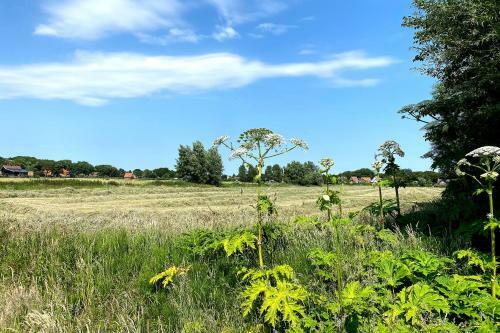 Prachtige Duinvilla's Op Natuurpark