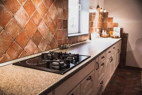 Villa Alpe Adria
