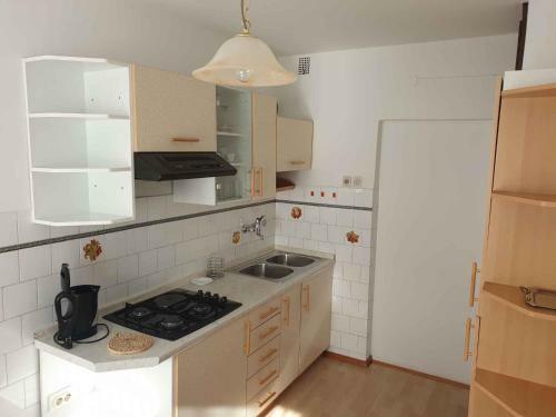 Apartment In Postojna 40258