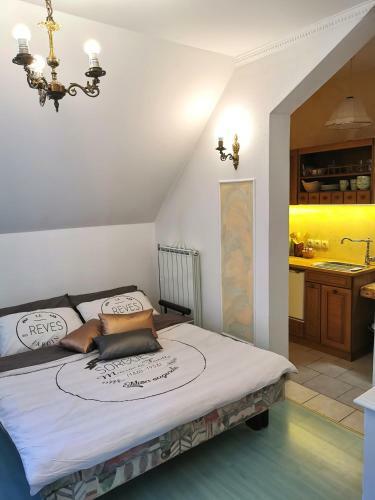 Studio Apartma Arko