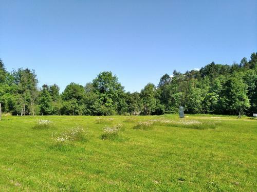Robinson River Camp