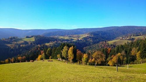 Apartma Nika