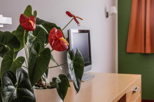 Hostel Vetrnica