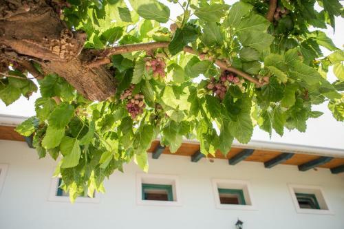 Apartamento Mulberry House