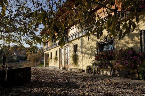Apartamento Vineyard Cottage Majzelj