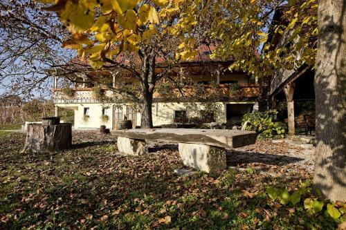 Apartamento Vineyard Cottage Majzelj