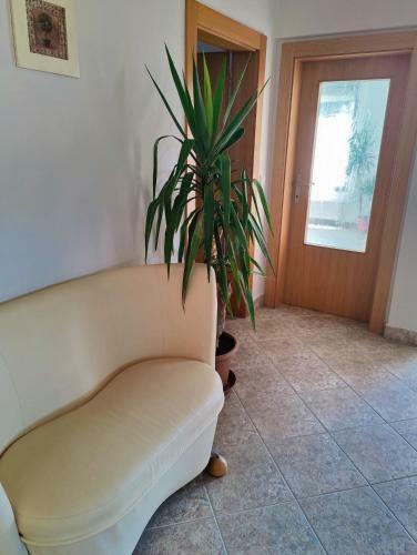 Apartma Ajja