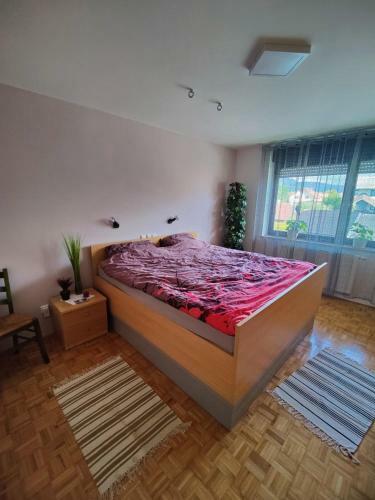 Apartma Ajja
